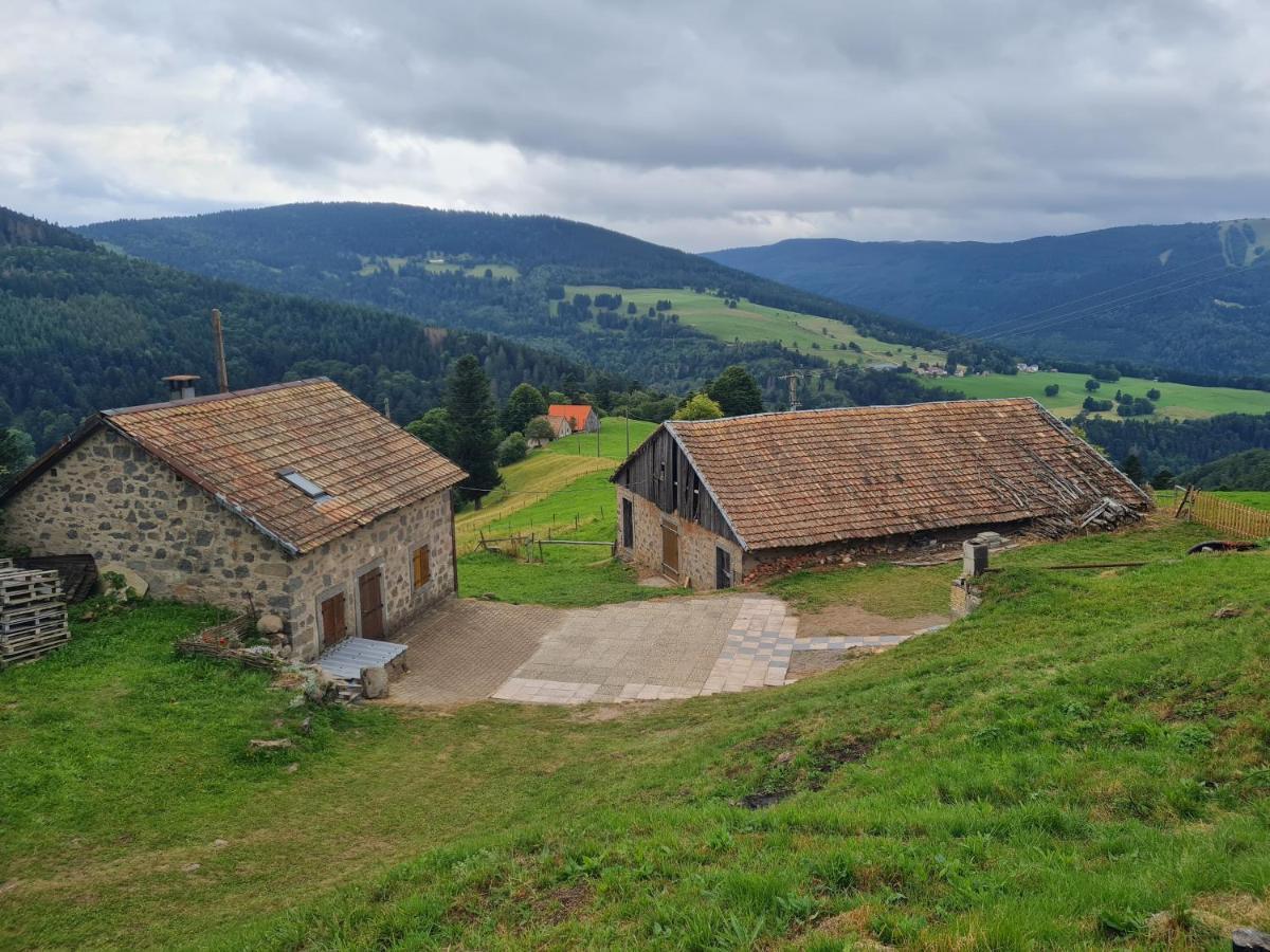 Le Du Tanet Sauna Terrasse En Alsace Chalet