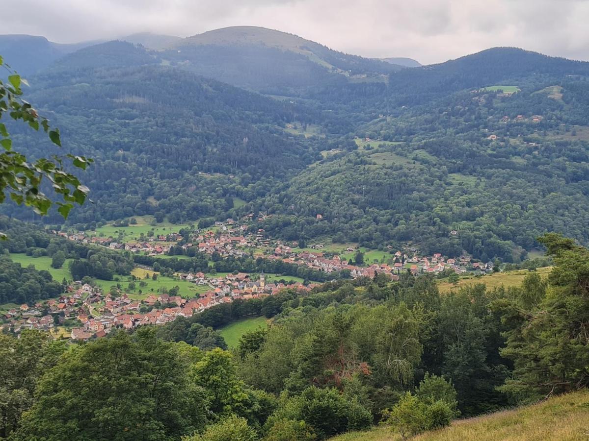Le Du Tanet Sauna Terrasse En Alsace Chalet *