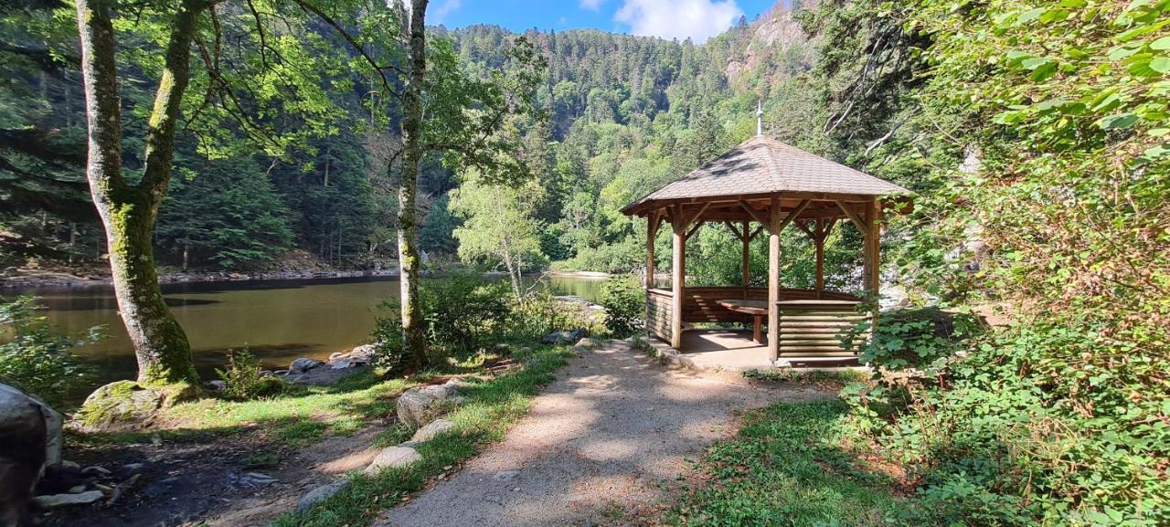 Le Du Tanet Sauna Terrasse En Alsace Soultzeren