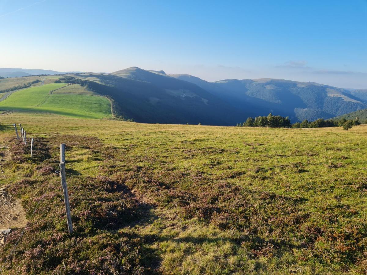 Le Du Tanet Sauna Terrasse En Alsace *