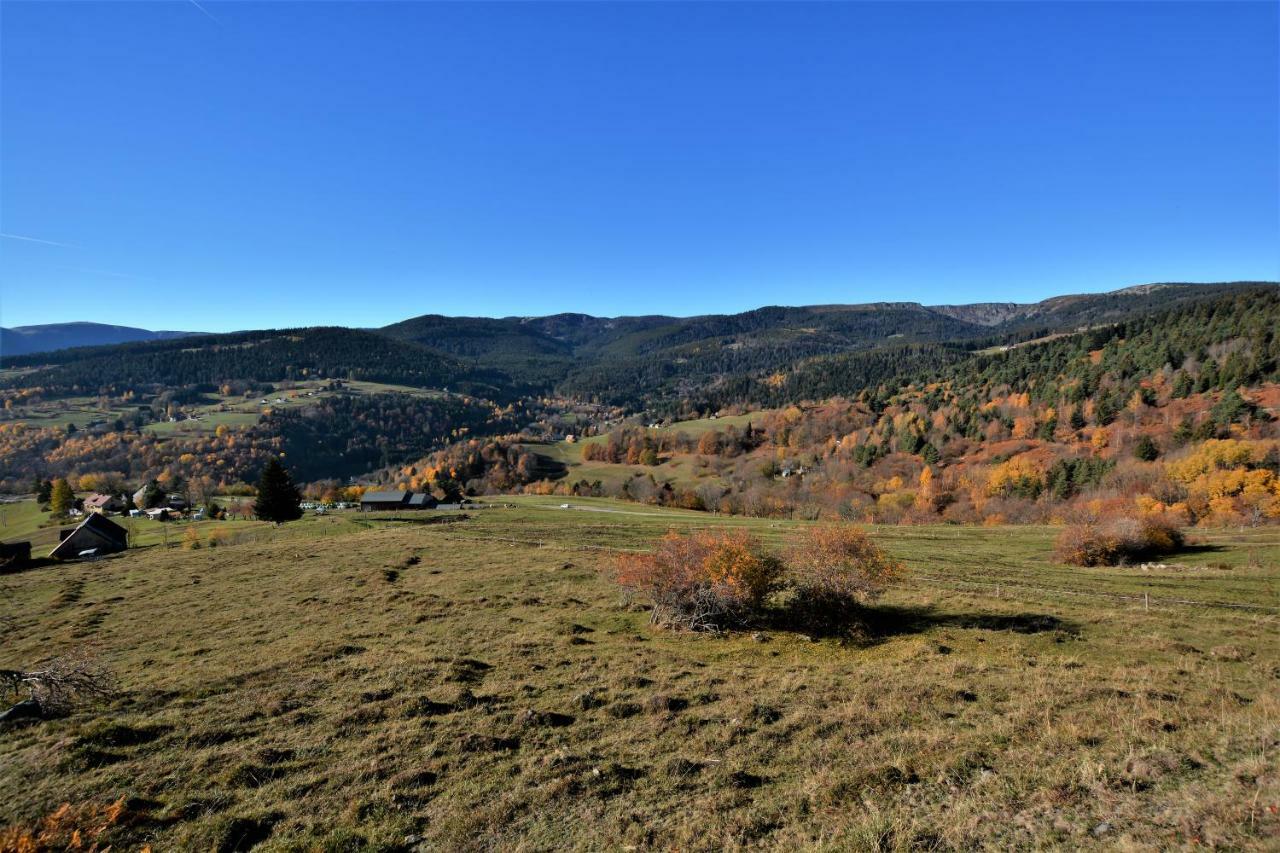 Chalet Le Du Tanet Sauna Terrasse En Alsace *